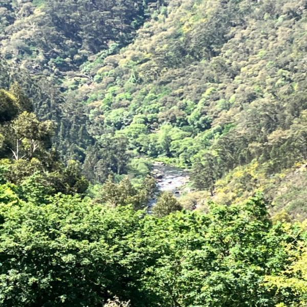 Paiva Valley 알바렝가 외부 사진