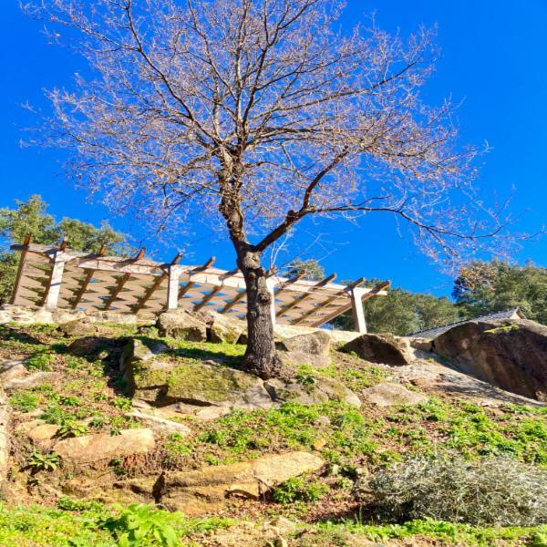 Paiva Valley 알바렝가 외부 사진